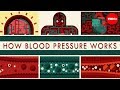 Understanding Blood Pressure and Circulatory System