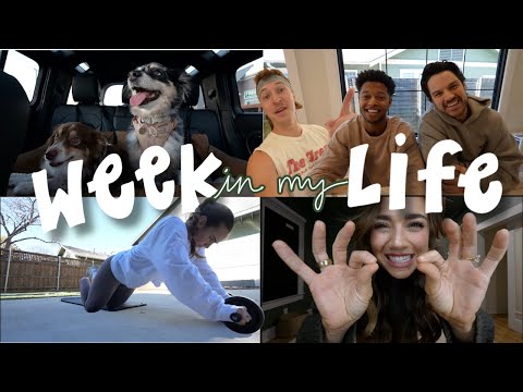 WEEK IN MY LIFE | opening PR, the dogs get surgery, hyrox training, and BOYZ WITH A Z.........