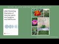 Plant Life Cycles and Classifications