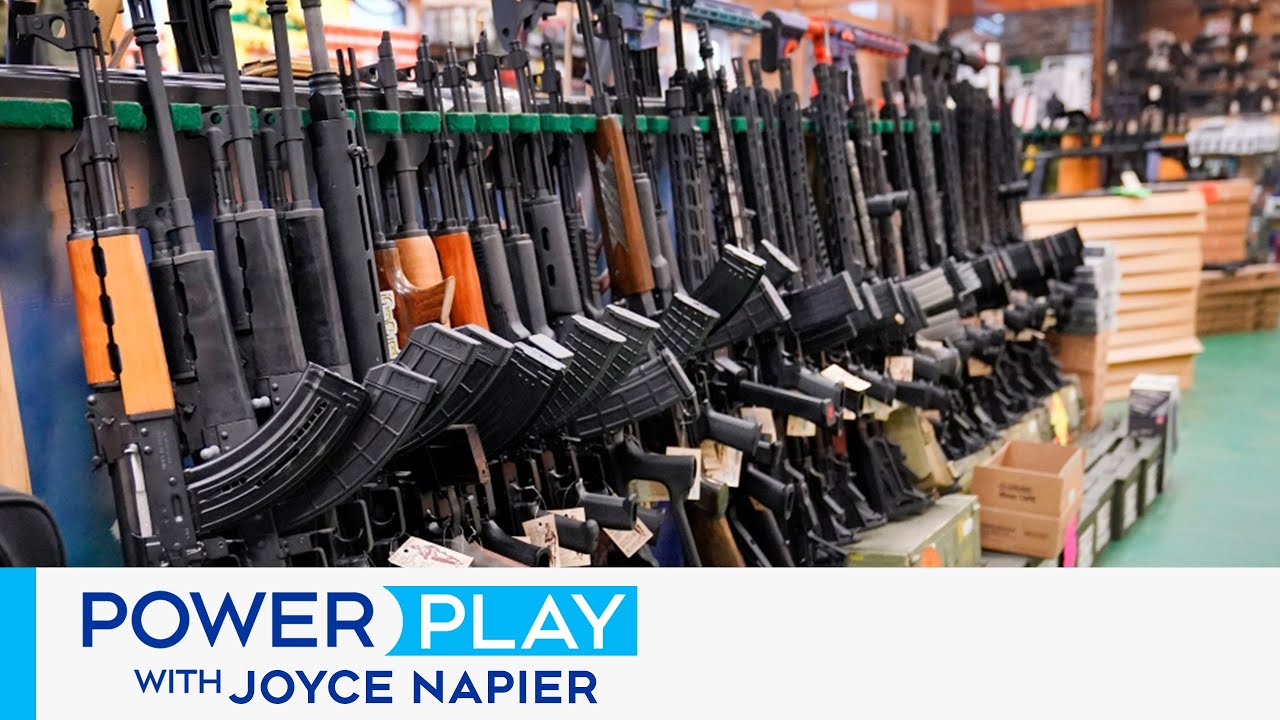 Why does Canada Need to Strengthen its Gun Control Laws? | Power Play with Joyce Napier