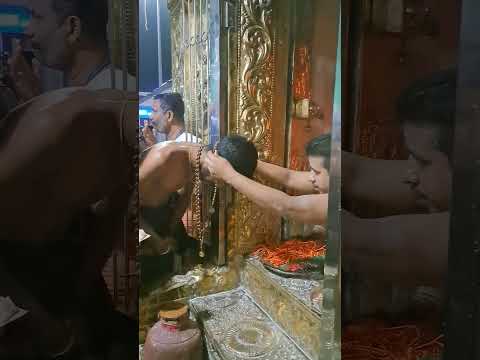 சபரிமலைக்கு மாலை அனிதல் #pallikattu #tamil #bgm #shortvideo #malikapuram #sabarimala #shortsfeed #yt