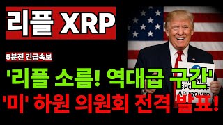 리플 소름!! 역대급 구간 진입!! 미 하원 의원회 전격 지원 제도 발의!!! 미쳤네요!! #엑스알피 #리플코인 #엑스알피전망