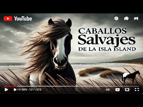 Los Caballos Salvajes De La Isla Desierta 🐴-Del Cerro Soy