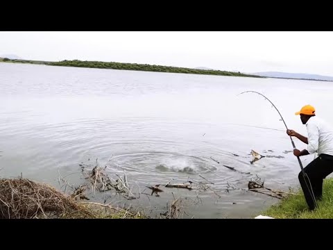 New FISHING VIDEO 🎣 By SINGLE HOOK BIG ROHU FISHES TO CATCHING in Krishna River