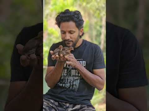 പുതിയ തുരുപ്പ് ചീട്ടുകളെ ഇറക്കിയൊരു പരീക്ഷണം 🤩🔥