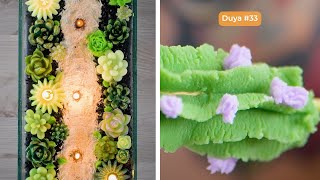 ¡Una planta suculenta que nunca tendrás que regar!