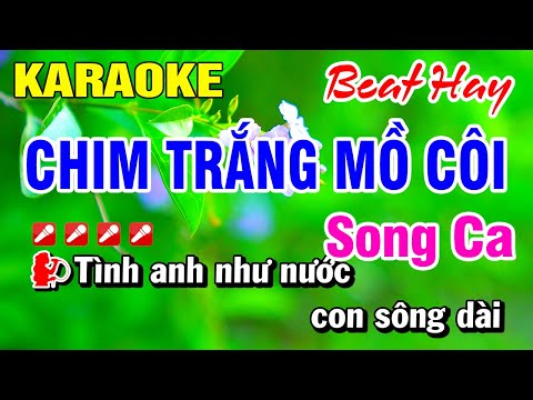 Karaoke Chim Trắng Mồ Côi (Beat Hay) Song Ca Nhạc Sống | Hoài Phong Organ