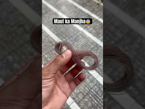 Jammu ki Patangbazi