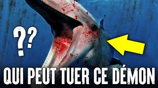 5 Animaux Qui Pourraient Vaincre Un DAUPHIN
