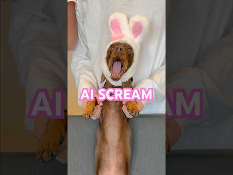 PUPPY AI SCREAM #minidachshund #dachshund #puppy #dance #dachshundpuppy #cutedog #funnydog #dog