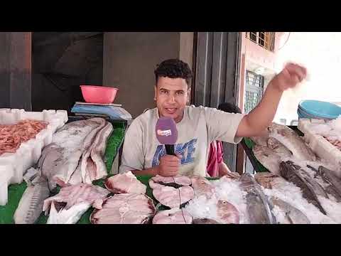 مباشرة من مراكش:السردين سمك الفقراء الغني بالبروتينات والأوميغا 3 طالع في الثمن وداير 18 درهم للكيلو