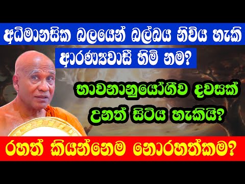 අධිමානසික බලයෙන් බල්බය නිවිය හැකි ආරණ්‍යවාසී හිමි නම?//..Sathya Vlogs