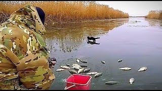 видео
