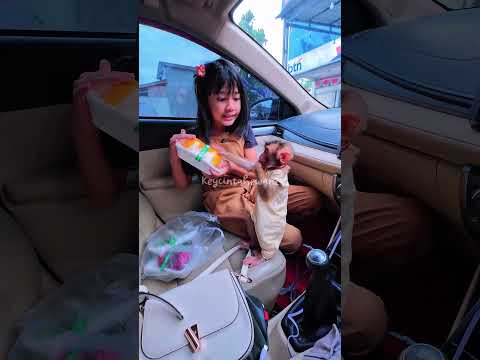 Unboxing Belanjaan Chya #shortvideo #short #monkey #monyet #animals