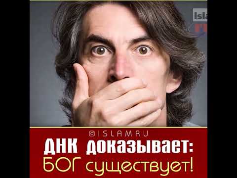 ДНК доказывает: Бог есть!