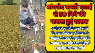 बांगरोद की सस्ती दवाई से 50 भीघा जमीन हुई नष्ट। एक प्रकार की 6 लीटर लाए थे उसमें अलग अलग दवाई निकली 