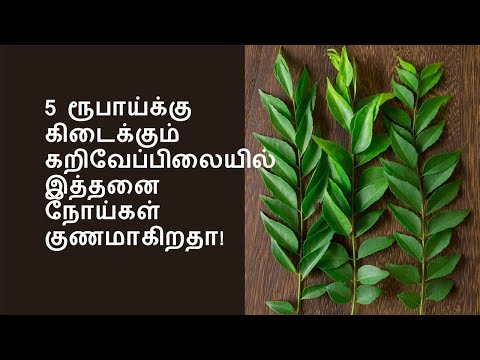 வியக்க வைக்கும் கறிவேப்பிலை | benefits of curryleaves