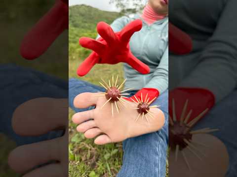 Survival Skills: SMART idea and USEFUL in Forest #bushcraft #camping #outdoors