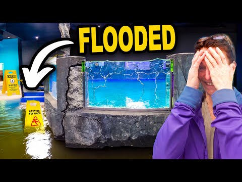 The News Is At My Aquarium, And There's A MAJOR LEAK!