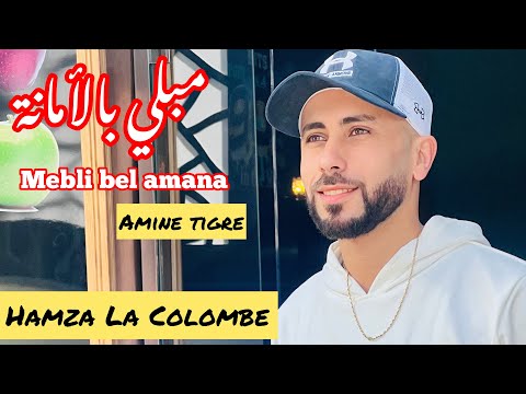 Cheb amine tigre 2023 mebli bel amana مبلي بالأمانة / avec Hamza La Colombe ( studio salam )