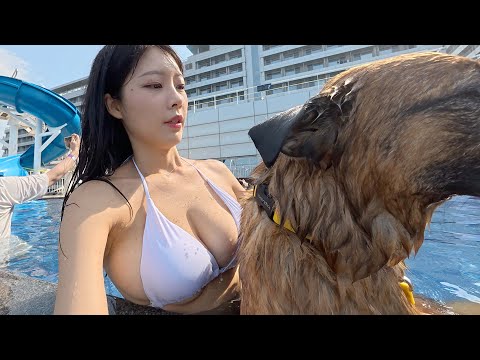 사람 많은데 자꾸 벗기려는 강아지와 필사적으로 막는 여주인..