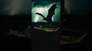 BRONCO Y COPERO 🦇