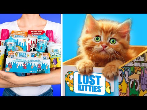 Who Hides Inside the Giant Box of Kitties? Big CHALLENGE!!!