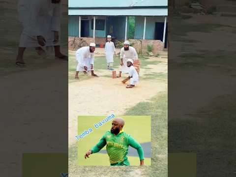Temba bavuma Batting #cricket #shorts #viralshorts