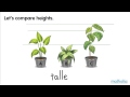 Comparative Lengths of Objects