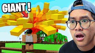 AKU MENANAM TUMBUHAN GIANT LANGKA DI ROBLOX GROW A GARDEN !