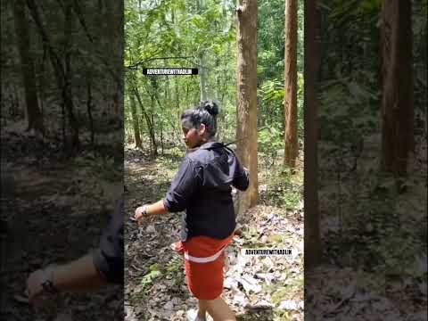 Power🔥 #youtube #shorts #youtubeshorts #viral #trending #alluarjun