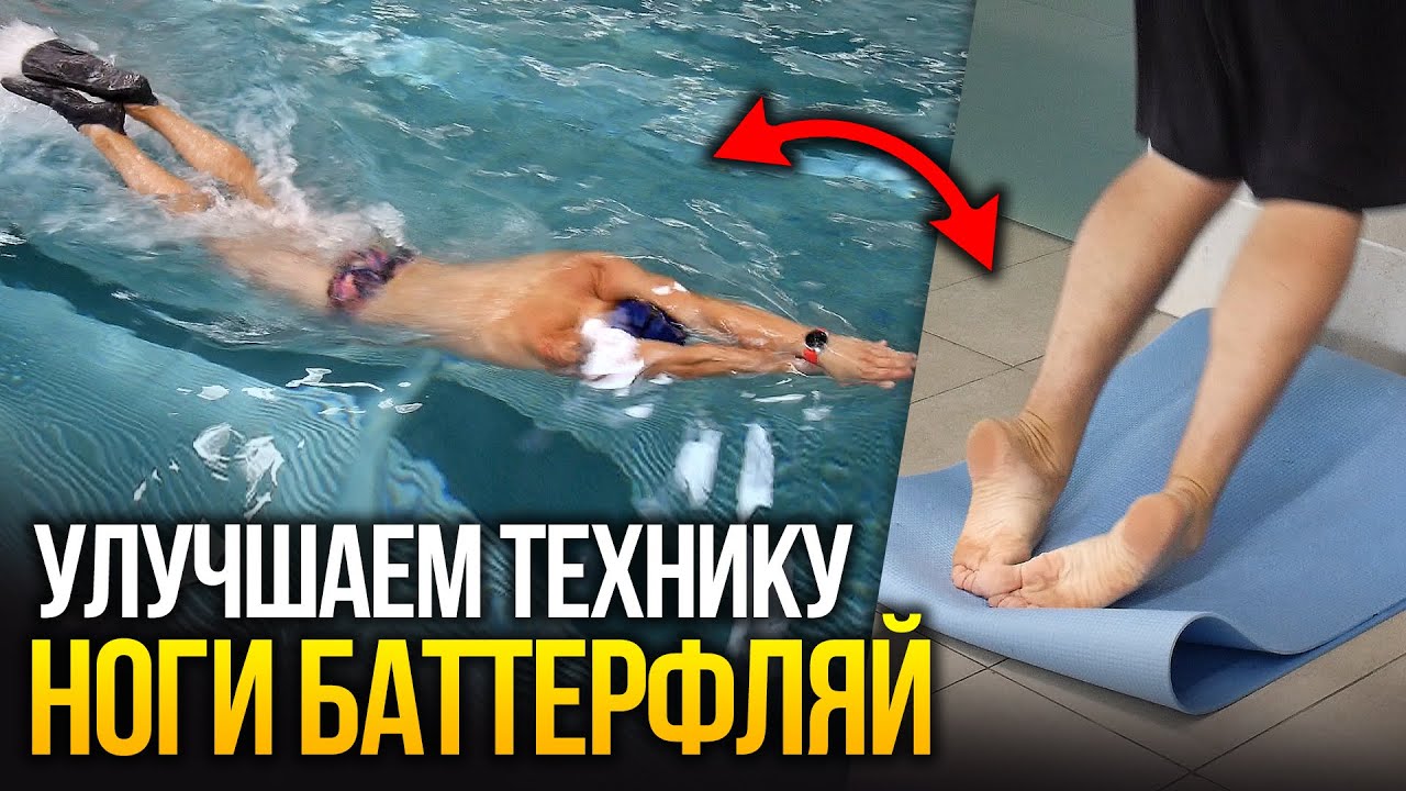 Баттерфляй. Работа ног. Ставим технику