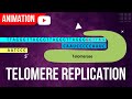 Telomerase and DNA Replication Concepts