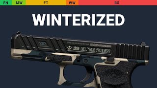 Glock-18 Winterized Wear Preview