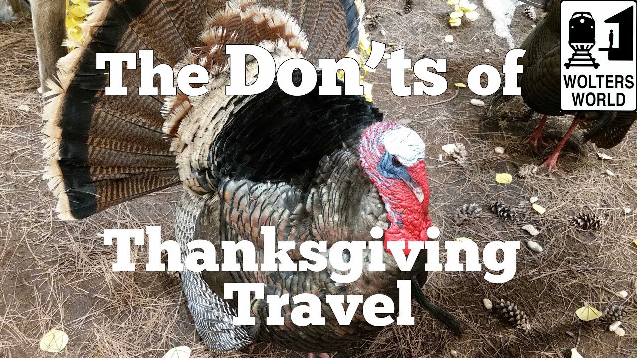 The Don'ts of Thanksgiving Travel - 10 Tips to Survive Thanksgiving - Wolters World
