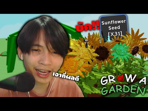 Roblox ผมใช้บัค "ปั้มเมล็ด" เมล็ดอะไรก็ได้555+ (Grow a Garden)