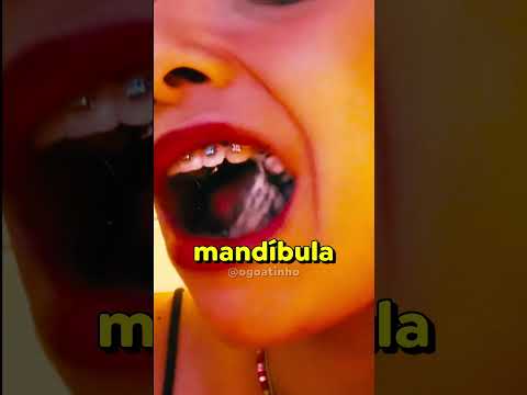 VOCÊ USARIA ISSO? 😁