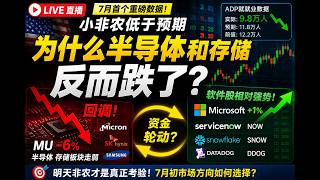 26/7/1 小非农低于预期 为什么半导体和存储反而跌了 。资金回流软件股 ？
