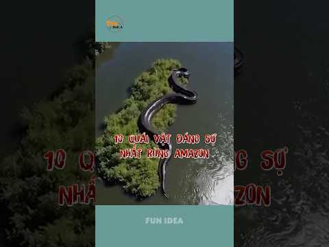 10 quái vật đáng sợ nhất rừng Amazon