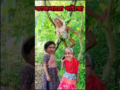 ফাজলামো পাইছো🤣 #funny #comedy #shorts #shortvideo #cartoonbor #khaledaunusfunny #khaledaunushasina
