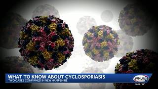 YouTube video thumbnail: What to Know: Two Cases of Cyclosporiasis Confirmed in NH, Dhhs Says