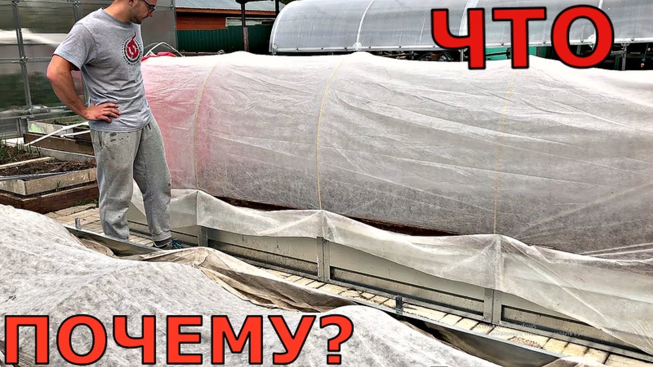 Уход за растениями в открытом грунте в мае. Подмосковье. Чеснок, лук, морковь, капуста, картошка
