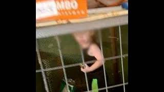 Bambina costretta a mangiare la sua stessa pelle per sopravvivere in gabbia..