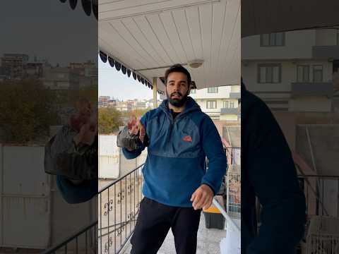 Gerçek Kurt ve Çakma Kurt farkı 😂