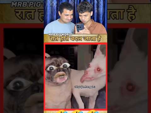 TRY NOT TO LAUGH 😂||WAIT FOR END||MRB PART-384