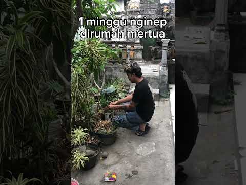 nginep dirumah mertua #youtubeshorts