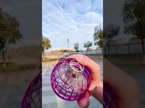 Amazing Flying Ball Test! It Flies Back Like a Boomerang!#shorts #FlyingBall#UFOBall