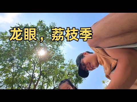 婚前先旅：宏基旅行回家，安姑小妹吓得认不出来，带娃摘果子去