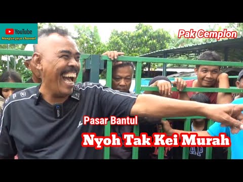 BUAT PENERANGAN JALAM KASIH MURAH