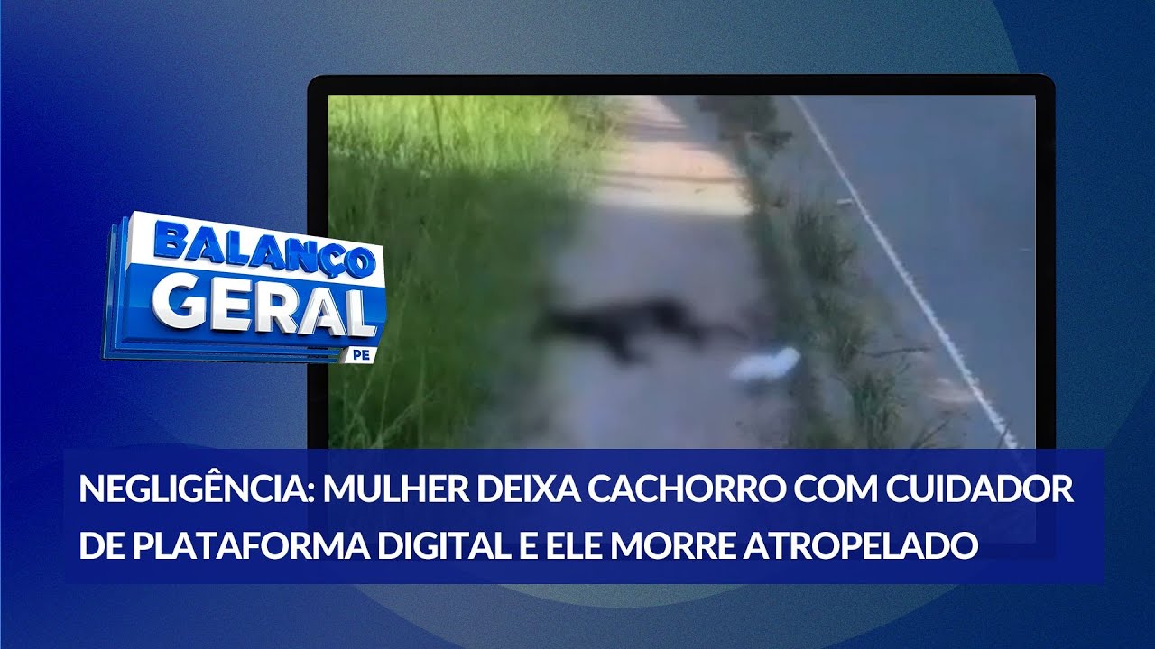 Mulher denuncia negligência de cuidador de plataforma digital após cachorro morrer atropelado